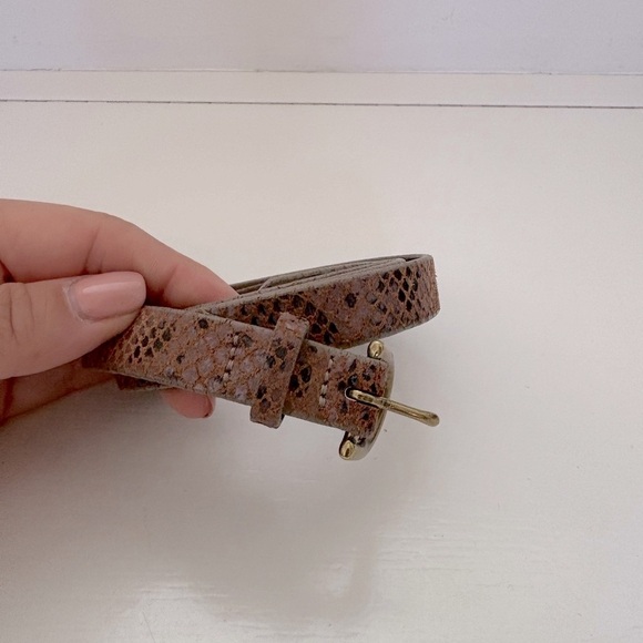 Wilfred Snakeskin Belt with Gold Buckle Sz Large - Picture 2 of 4